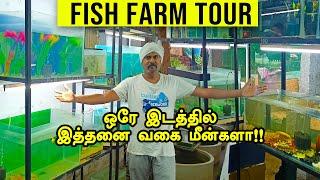 Fish Farm Tour | வண்ண மீன் பண்ணை டூர்  | Vedha Fish Farm | Our Journey