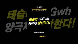 테슬라 양극재 생산한다