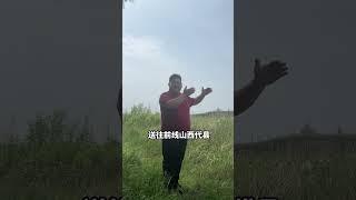 兵仙韩信墓被找到，他为什么会死在女人手里？