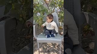 Mashallah #music #arabic #song #shortvideo #yousif #youshorts#shortvideo #cutebaby#music #anaya