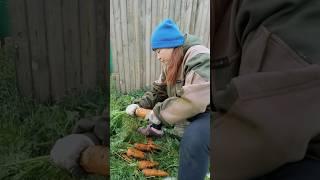 В конце не удержалась: когда работа в радость
