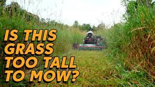 THIS FLAIL MOWER IS GONNA EAT!