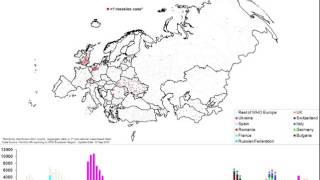 Measles epidemiology for the WHO European Region