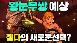 왕눈무쌍이 IF물이라면? – 젤다의 새로운 선택 (젤다의 전설 티어스 오브 더 킹덤, 젤다무쌍 봉인전기)