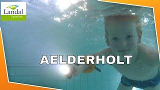 Landal Aelderholt | Bollo de Beer |  Zwembad