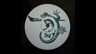 UNKNOWN ARTIST - THE LIZARD KING [FLIPSW001]