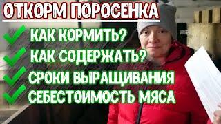 СВИНЬИ КАК БИЗНЕС/Как вырастить поросёнка/Жизнь в деревне