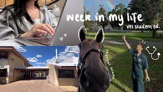 STUDY VLOG | a week in my life as a veterinary medicine student 🩺‍️