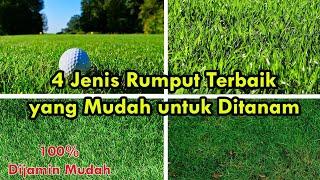 4 Jenis Rumput Terbaik yang Mudah untuk Ditanam 2021