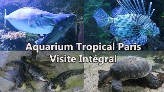 Aquarium Tropical De La Porte Dorée PARIS Visite Intégral - 1080p60 Ultra