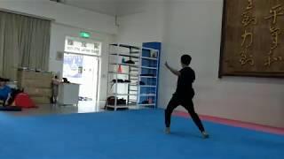 Chinese Culture University Student Kung Fu Demo Di Tong Quan 地趟拳