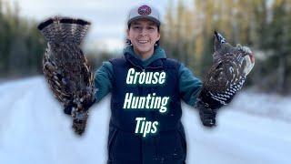 Tips on grouse hunting (beginners)