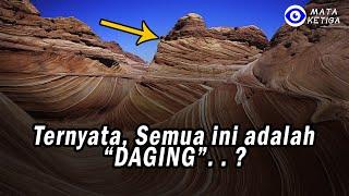 Ternyata,... Semua ini adalah “DAGING”. . .?