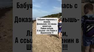 Бабушка в споре о мышах и ссылках! Узнай, как это было. #юмор #анекдот