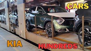 Huge KIA Car Transport ! The Train Carries Hundreds of Cars !