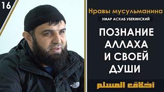 Познание Аллаха и своей души - Нравы мусульман урок 16