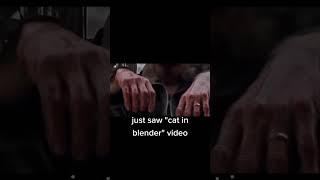 cat in blenders #cat in blender real video#cat in blinder just saw#Motivation School