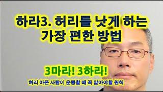 허리 낫게 하는 가장 편한 방법 (하라 3)