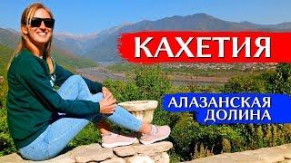 KAKHETIA, ALAZAN VALLEY, GEORGIA: excursion from Tbilisi, vineyards, Tsinandali | ENG SUBS