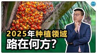 2025年种植领域路在何方？