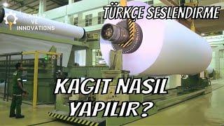 AĞAÇLARDAN KAĞIT NASIL YAPILIR?