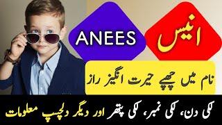 Anees Name Meaning In Urdu | Anees Naam Ka Matlab | Zahid Info Hub |