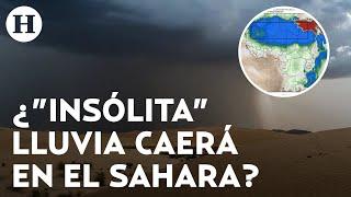 ¿Intensas lluvias en el desierto Sahara? Meteorólogos advierten que podría ocurrir en estos días