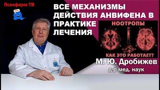 Все механизмы действия Анвифена и их использование.