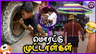 மொரட்டு முட்டாள்களின் அலப்பறைகள் | Total Idiots  | The Magnet Family 2.0