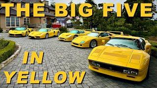 I Collected the Big Five Ferrari's in YELLOW!