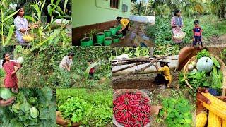 இது போதும் எனக்கு இனி வேறேன்ன வேணும்Small vegetable garden/Vegetables harvesting/My garden Work