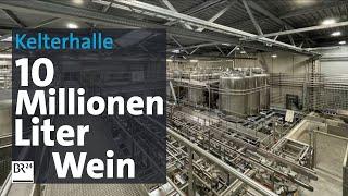 Zehn Millionen Liter Wein: Frankens größte Kelterhalle | BR24