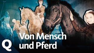 Die komplizierte Geschichte von Pferd und Mensch | Quarks