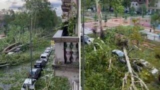 Viale Argonne a Milano: la strada è completamente coperta dagli alberi caduti