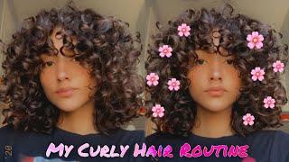 MY CURLY HAIR ROUTINE 2020 | 2C- 3A-3B CURLS | Lisaslife