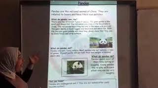 Non-chronological report (panda 1) #grade_3