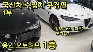 1부 수입차 국산차 구경하기 용인오토허브 1층 Feat 희귀차량 알파로메오