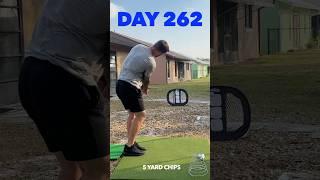 Day 262 of becoming a scratch golfer in 1 year #golf #bammikell