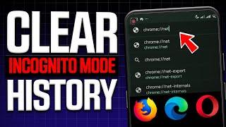 How to Clear Incognito Mode History in Phone (Android)