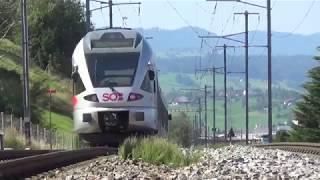 Voralpen - Express  Teil 3  Biberbrugg - Rapperswil