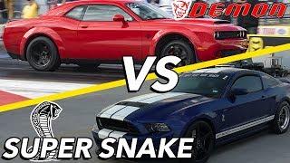 Demon vs Super Snake | AN ARGUMENT BREAKS OUT?!