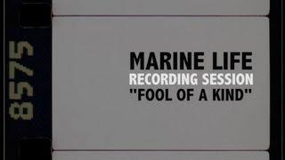 Marine Life - Fool Of A Kind (Recording Session)