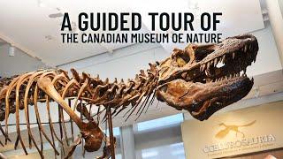 A Guided Tour of the Canadian Museum of Nature