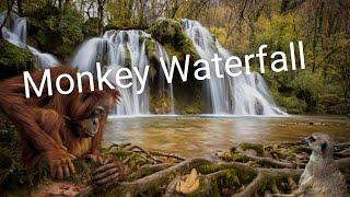 monkey waterfall || monkey water fall .