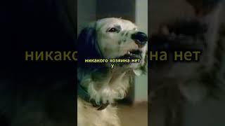 История, полная любви и надежды  #староекино  #моменты  #shorts
