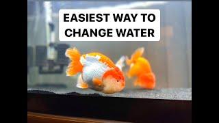 How I Do Water Changes - Python Water Change System