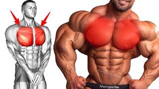 The Most Effective Chest Workout for Building Muscles