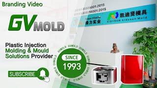 GV-MOLD: Your One-Stop Injection Molding Solution with Engineering Excellence! 