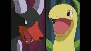 Pokemon: Bayleaf vs Houndoom