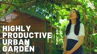 Highly productive urban farm / Sustainable garden  / Permaculture / Edible beauty / Fruit & Veggies